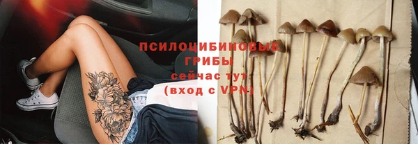 Альфа ПВП Пестово