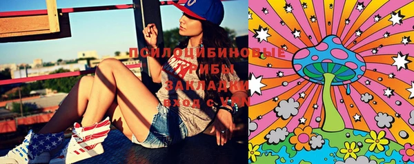 ГАЛЛЮЦИНОГЕННЫЕ ГРИБЫ Абинск