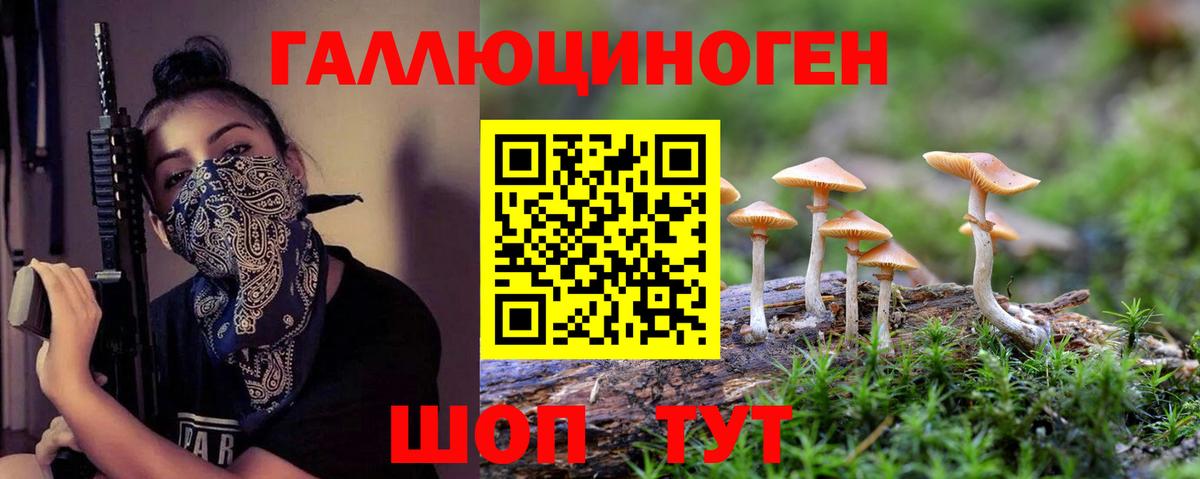 Костомукша  Псилоцибиновые грибы Cubensis  Вход с VPN 